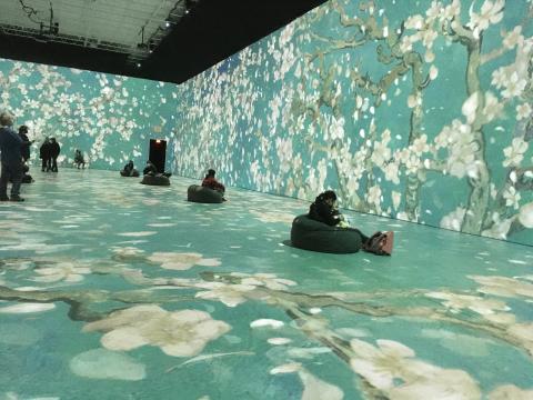 Walls and floors covered in projections of Van Gogh's Almond Blossoms