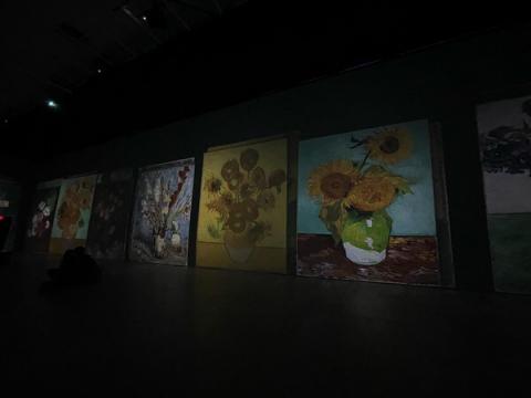 Projected paintings of Van Gogh flowers